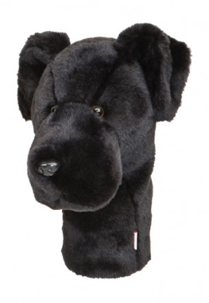 Labrador noir