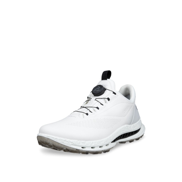 Biom - C5 - BOA - GTX
