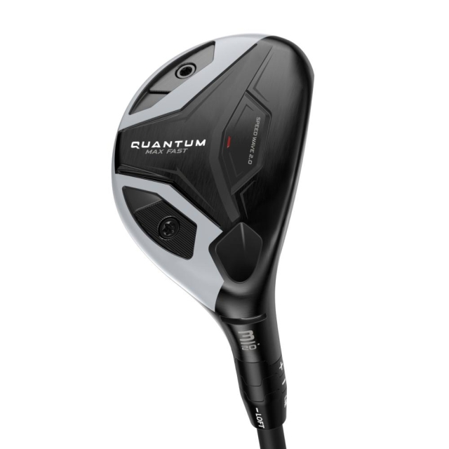 Quantum - Max Fast